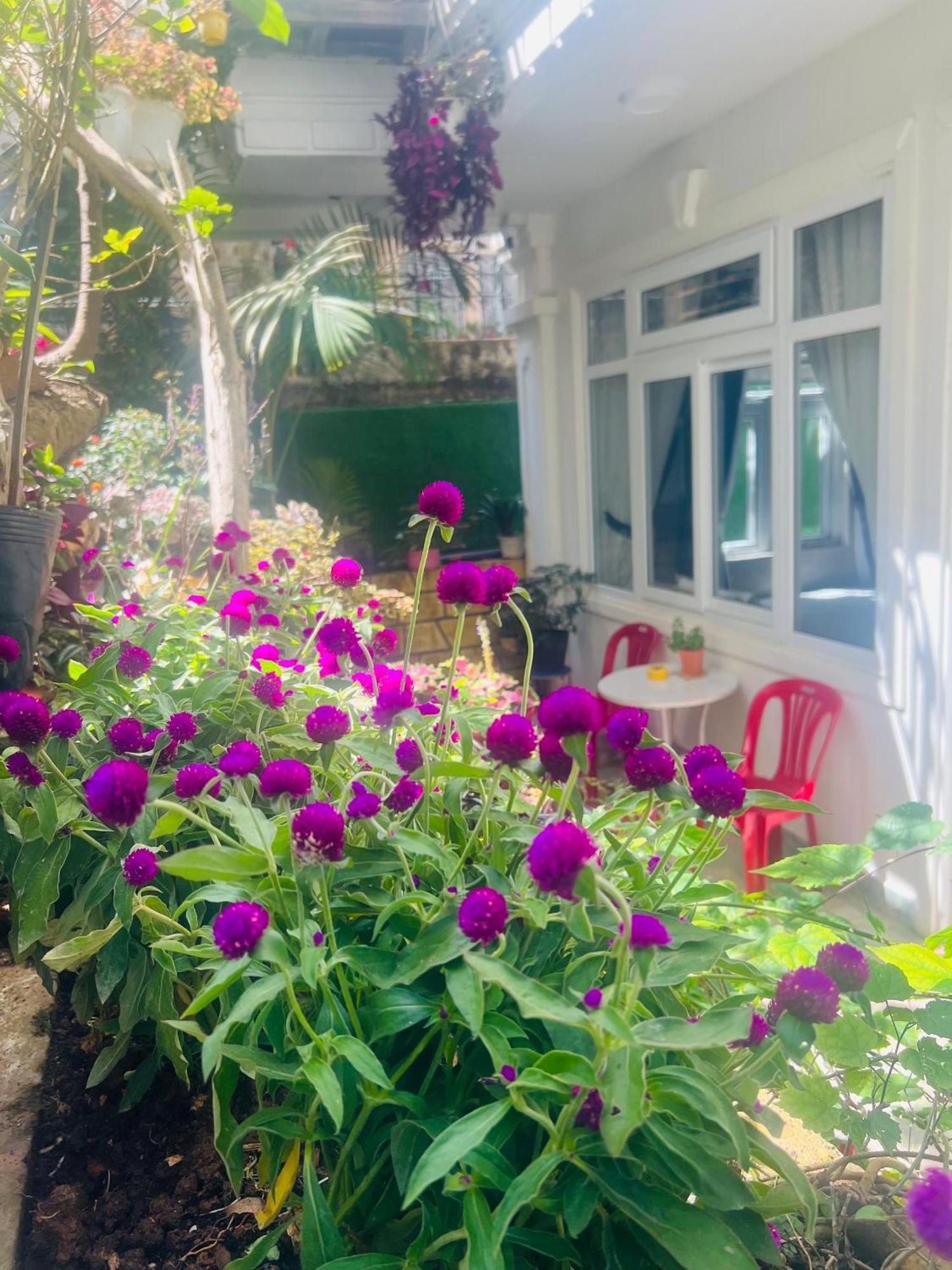Villa - Hotel Nam Khang 2 Dalat Bagian luar foto